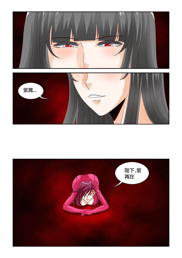 吾家猫猫大人漫画,第54章：流浪猫3图