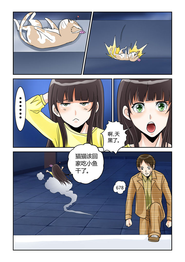 猫猫大人日文漫画,第4章：猫猫丢了吗3图