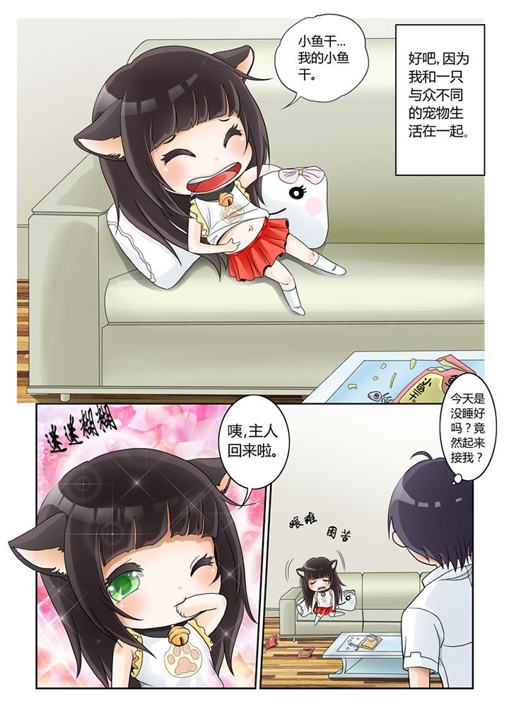 吾家猫猫大人漫画,第1章：3图