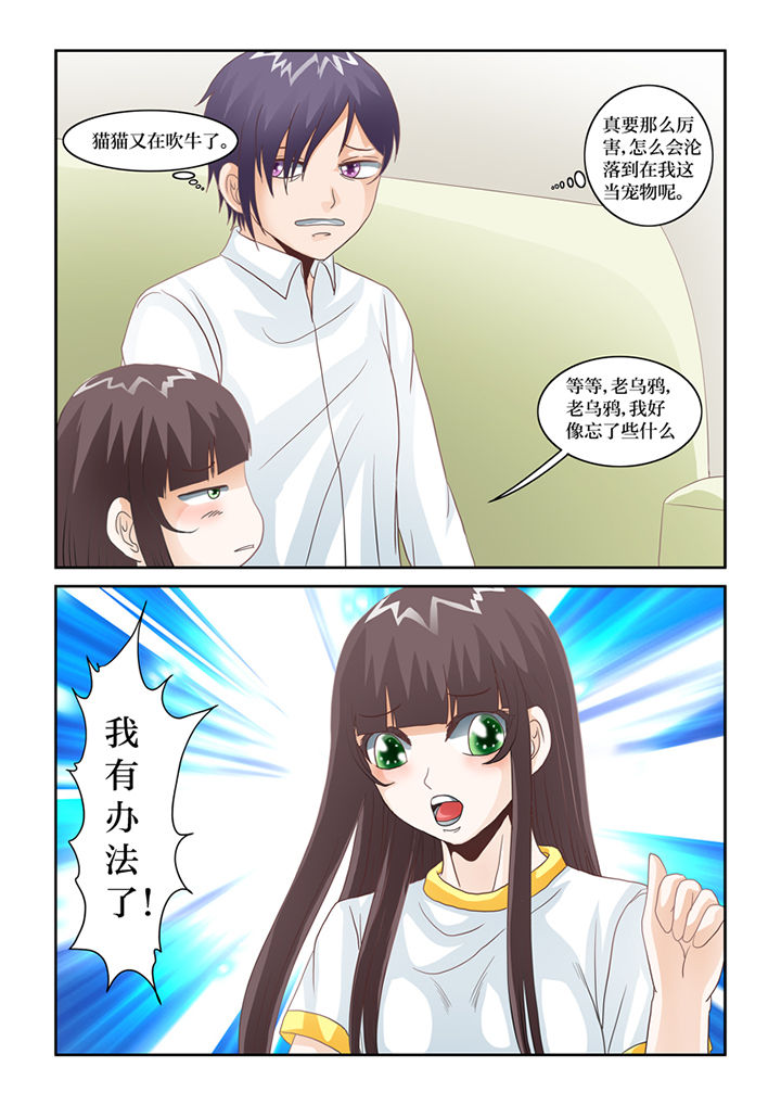 吾家猫猫大人漫画,第68章：青椤1图