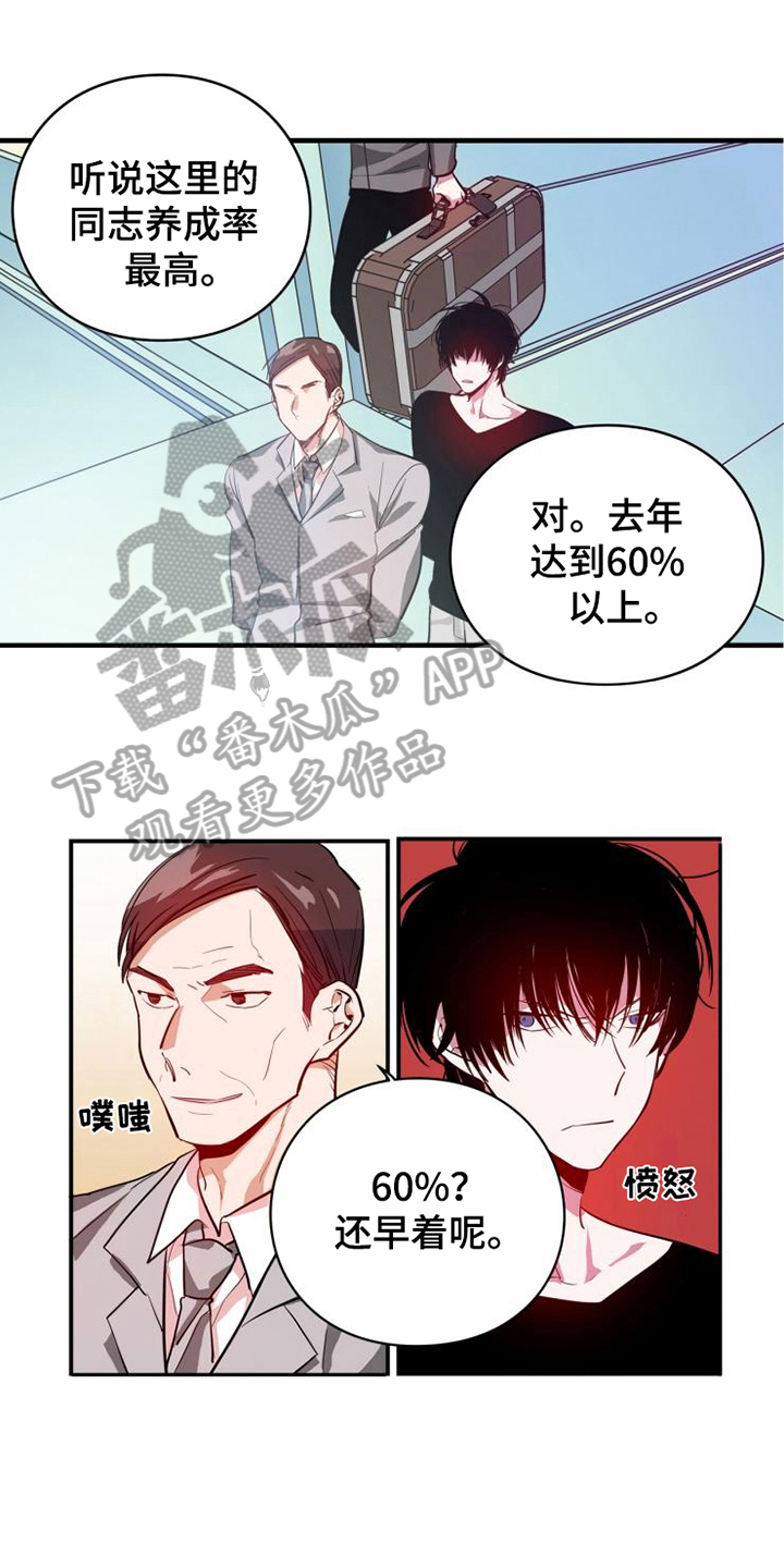 青年培训中心漫画,第12章：计划暂停1图