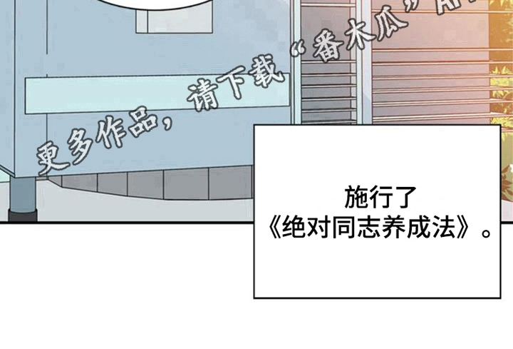 青年培训中心漫画,第29章：真心的力量【完结】4图