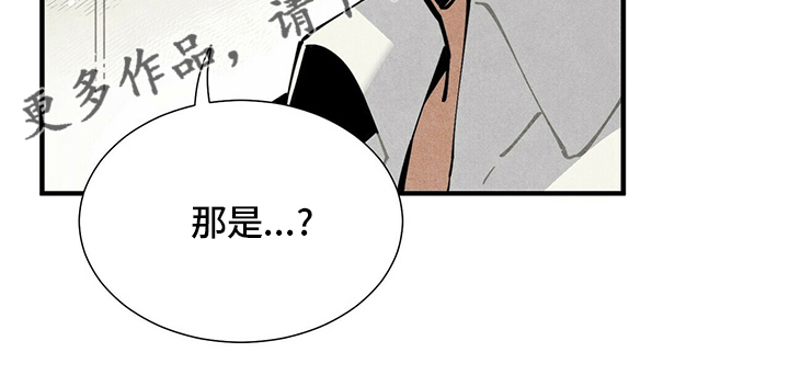 帕鲁斯旅馆漫画,第31章：再去一次5图