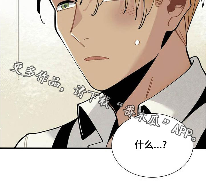 帕鲁贝茨女排漫画,第53章：提议2图