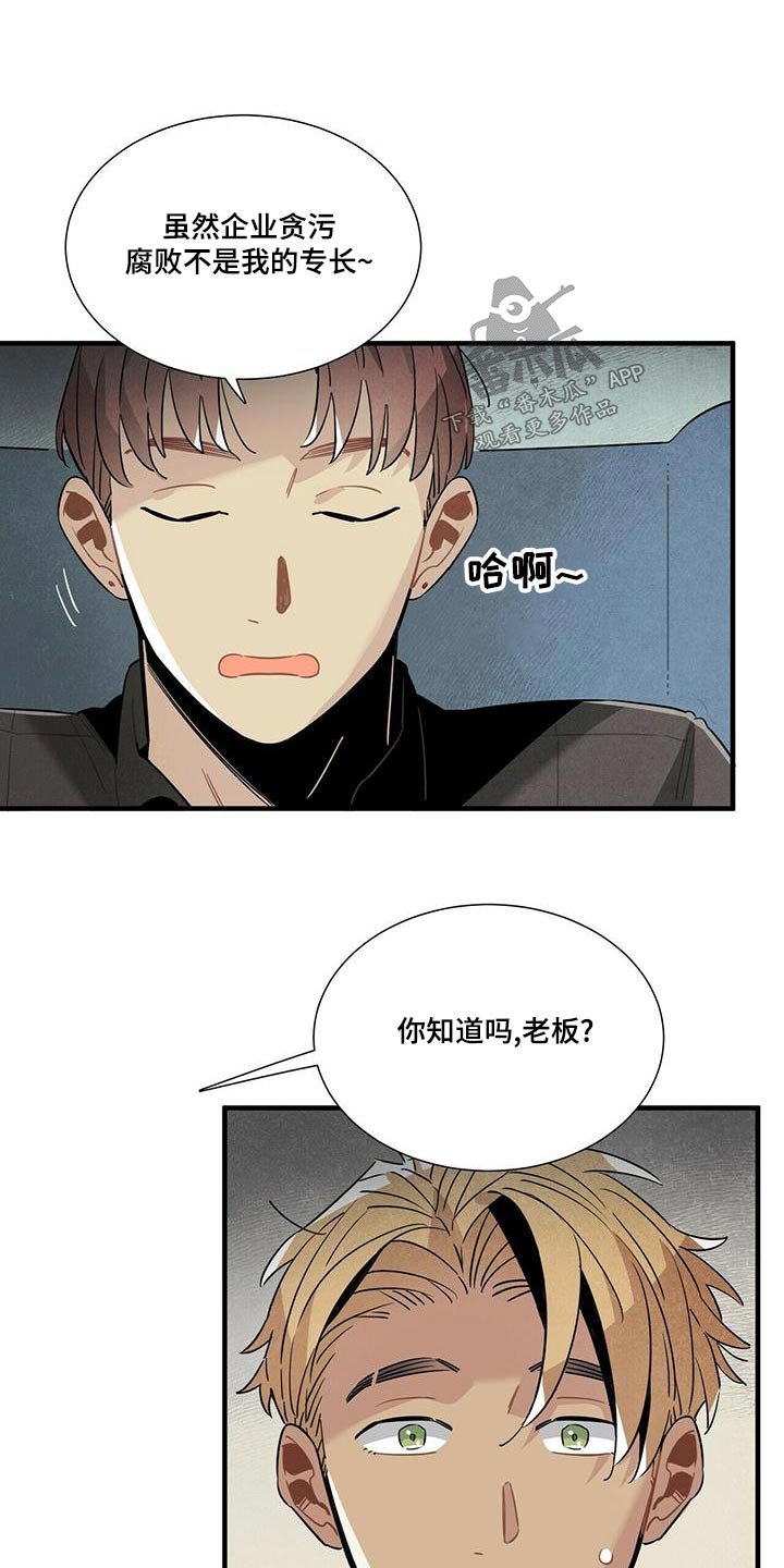 帕鲁疾风隼在哪漫画,第79章：调查1图