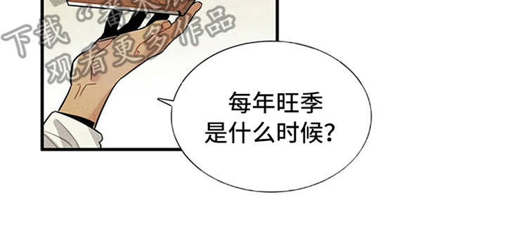 帕鲁斯旅馆漫画,第5章：传闻1图
