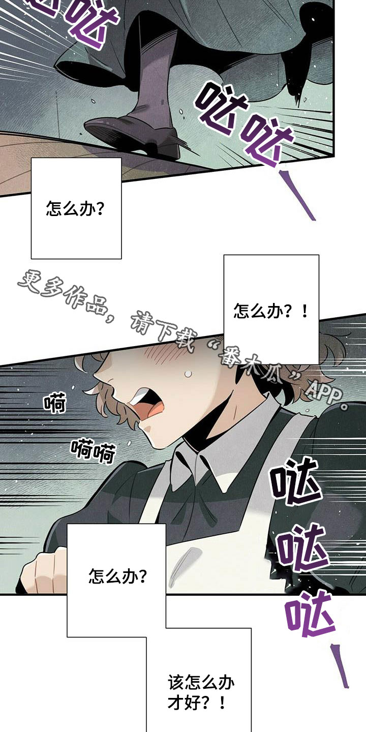 帕鲁奇亚闪光漫画,第50章：菜鸟老板3图