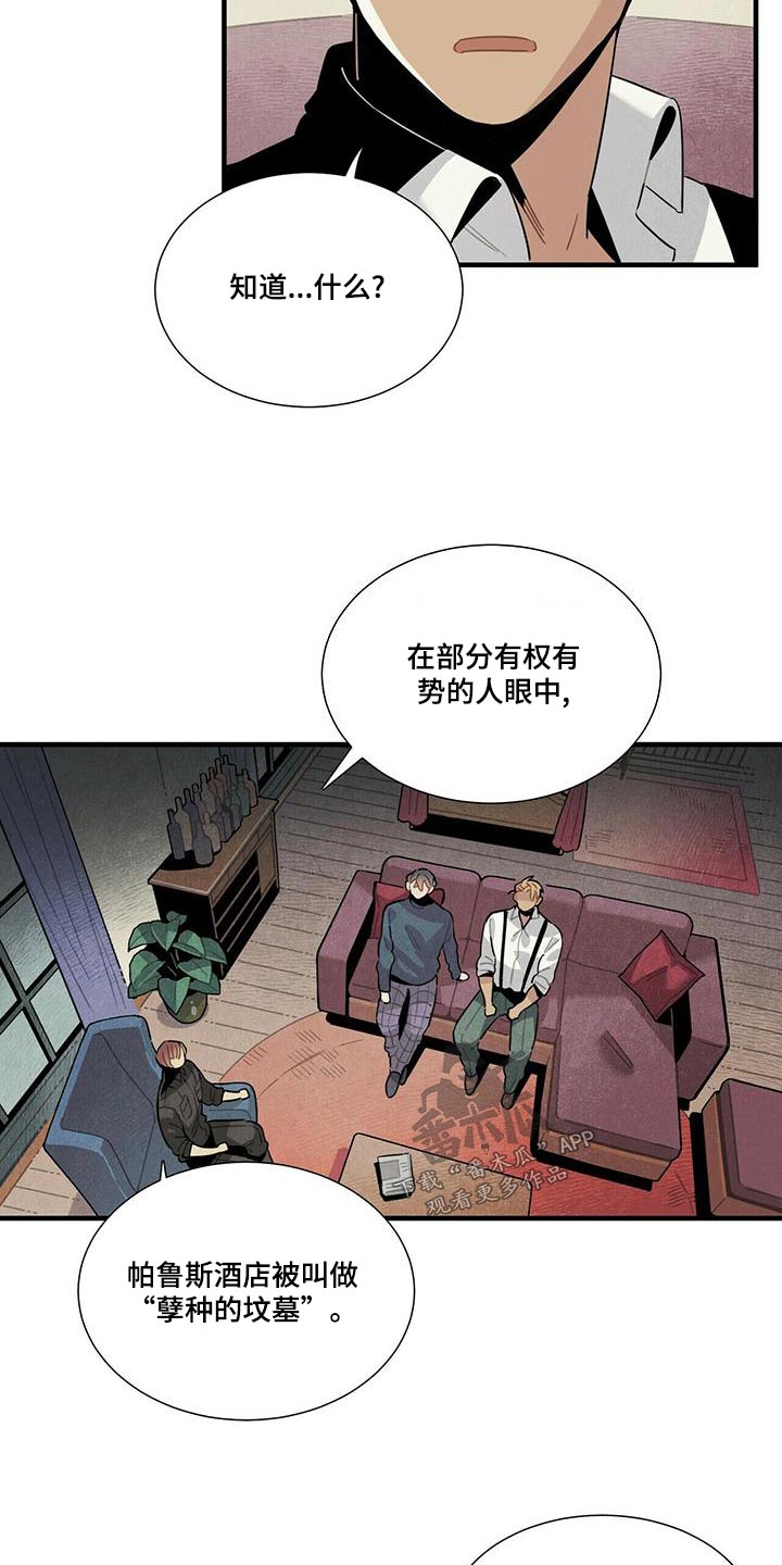 帕鲁疾风隼在哪漫画,第79章：调查2图