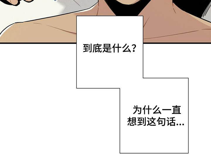 帕鲁疾风隼在哪漫画,第22章：早该放下4图