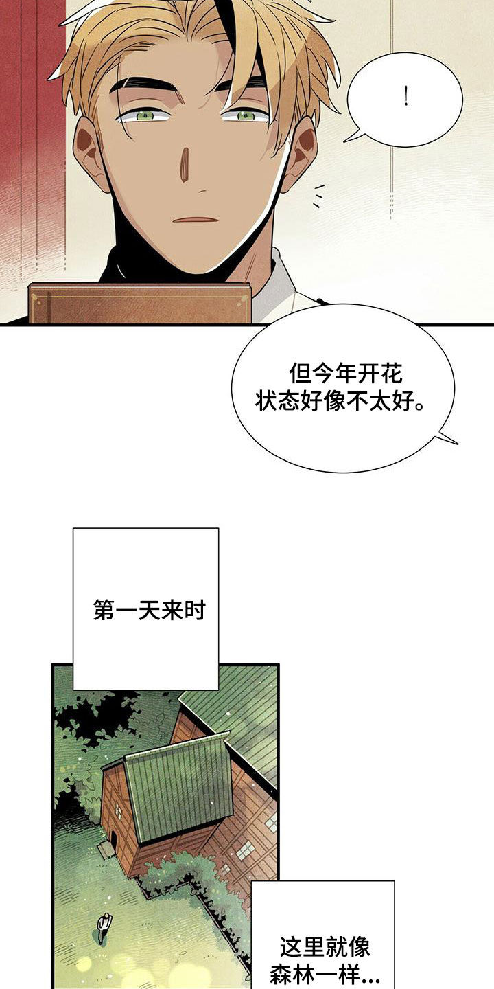 帕鲁斯旅馆漫画,第19章：跟我来3图
