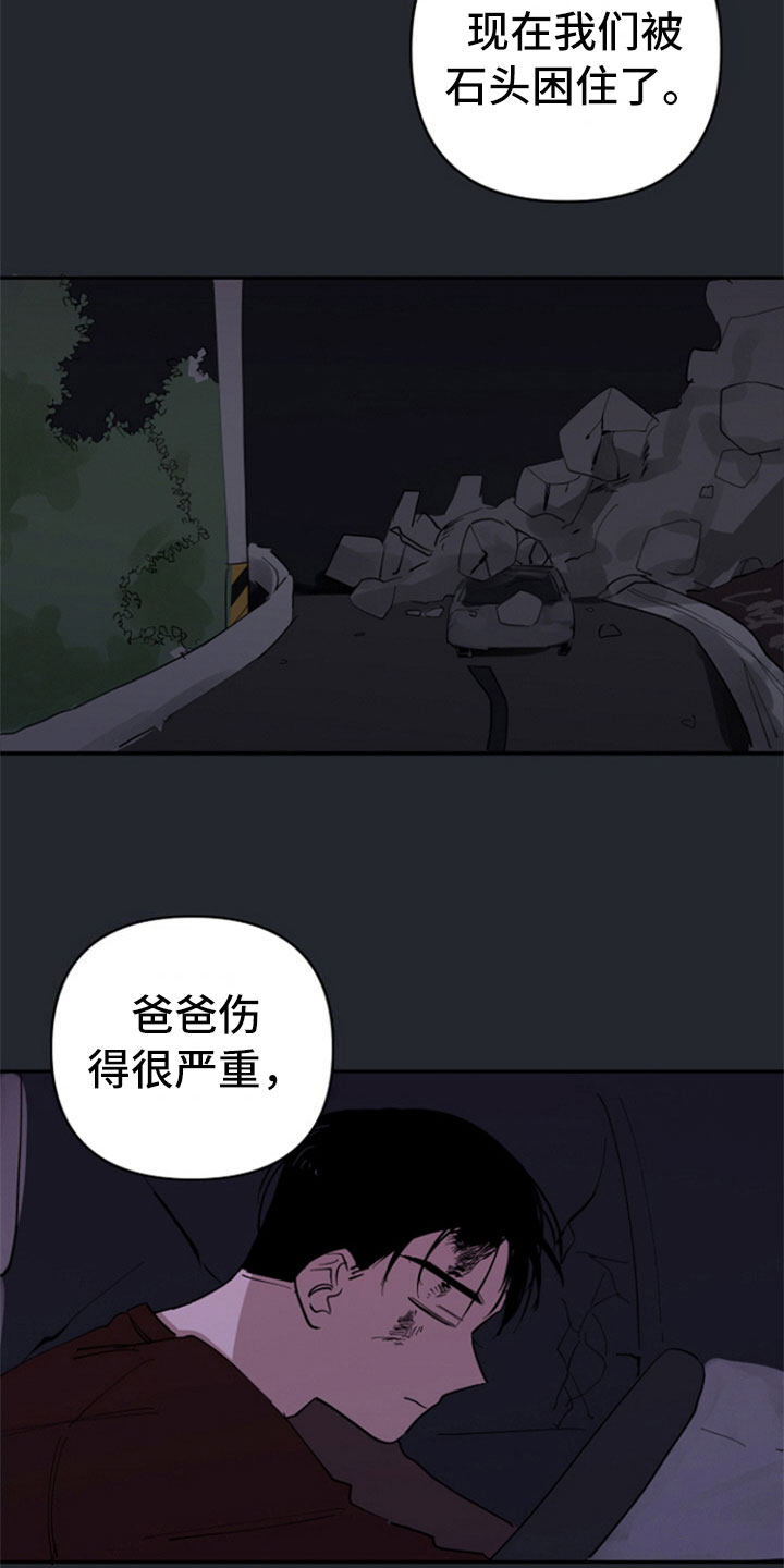 重组伴侣漫画,第27章：车祸5图
