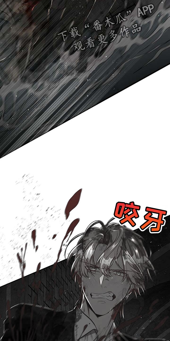 纽约秘事第二季漫画漫画,第105章：【第二季】搏斗5图