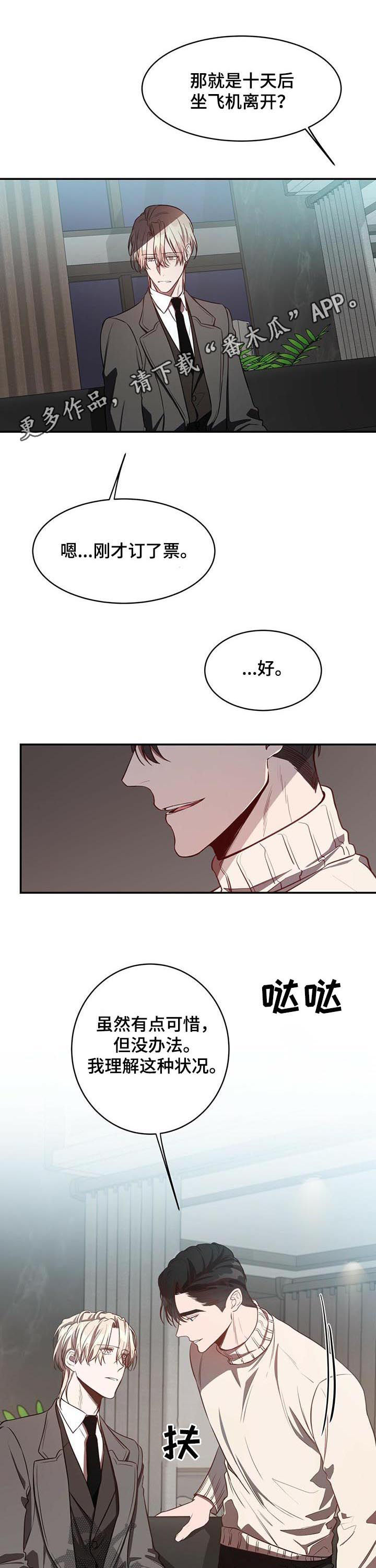 纽约面积多少平方公里漫画,第30章：最后几天1图