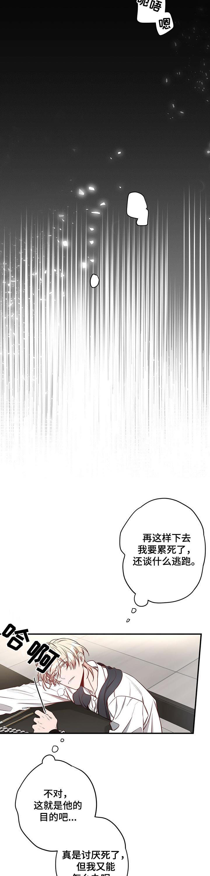 纽约迷云2高压中文漫画,第43章：喂你1图