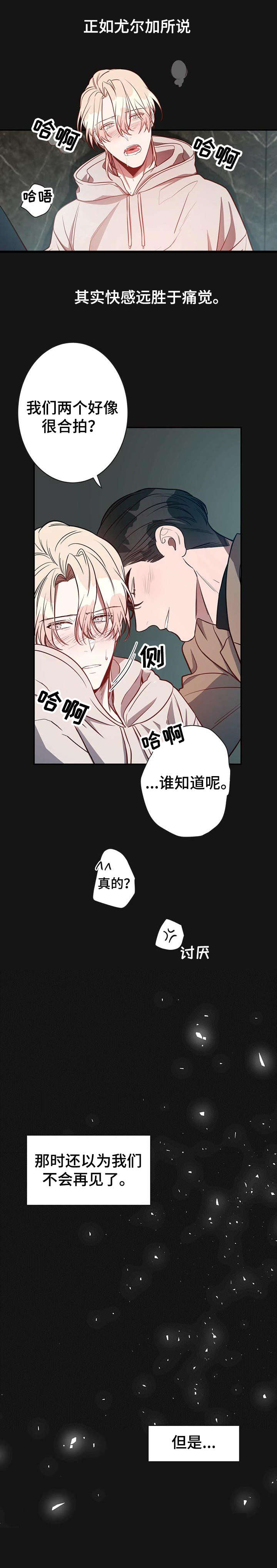 纽约迷云2高压中文漫画,第15章：好想法4图
