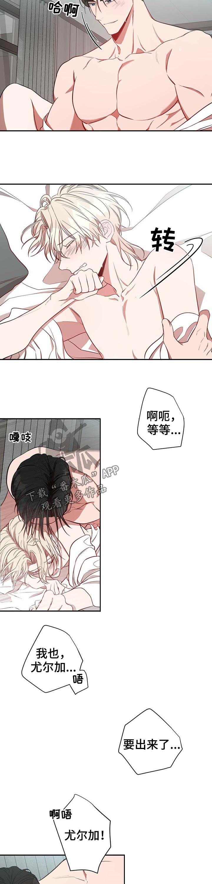 纽约黑帮漫画,第23章：特别2图