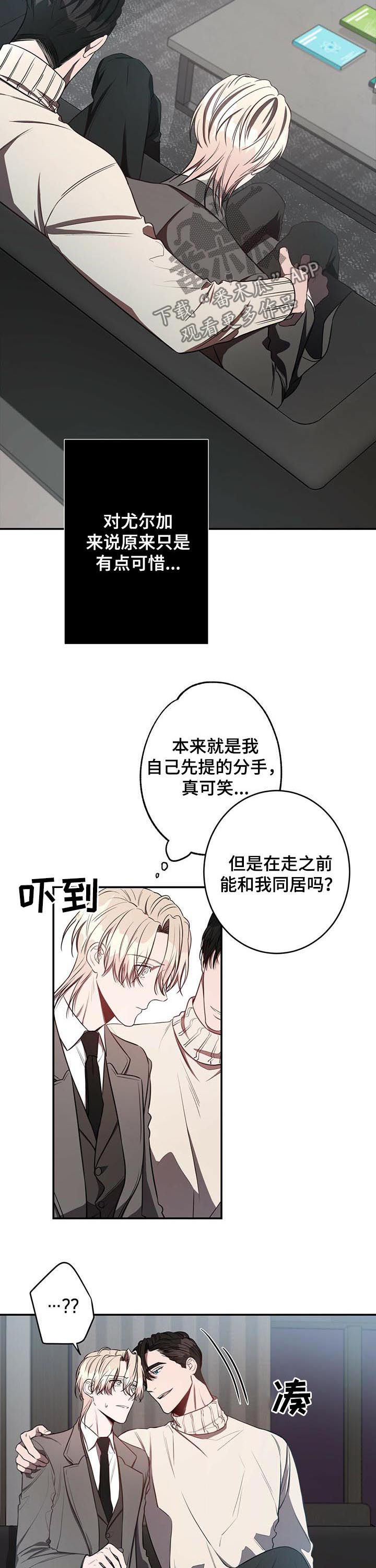 纽约面积多少平方公里漫画,第30章：最后几天3图