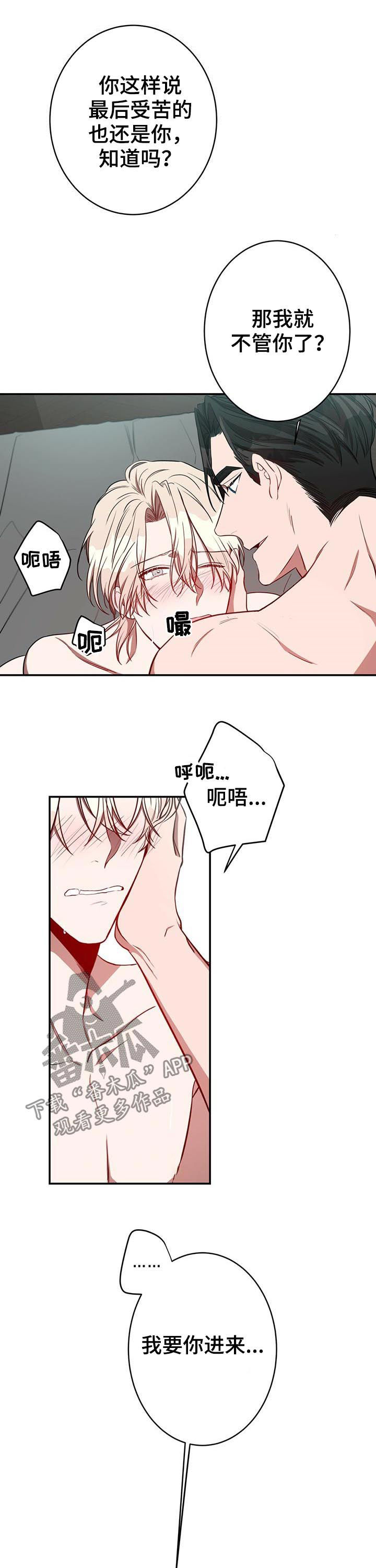 纽约迷云2高压中文漫画,第24章：喜欢2图