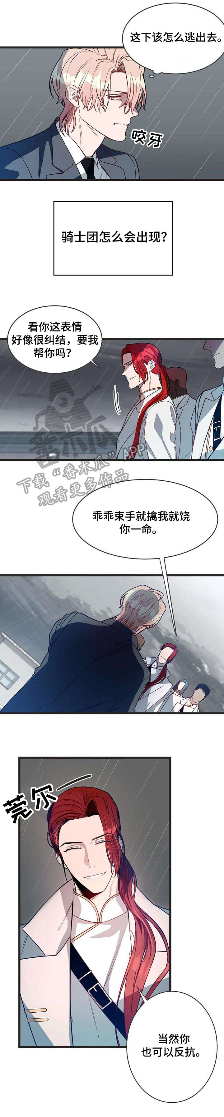 纽约中央公园漫画,第4章：骑士团2图