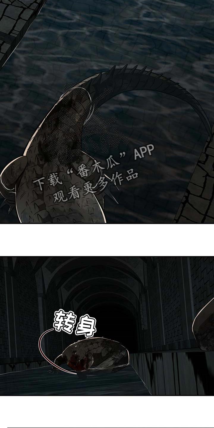 纽约秘事第二季漫画漫画,第105章：【第二季】搏斗4图