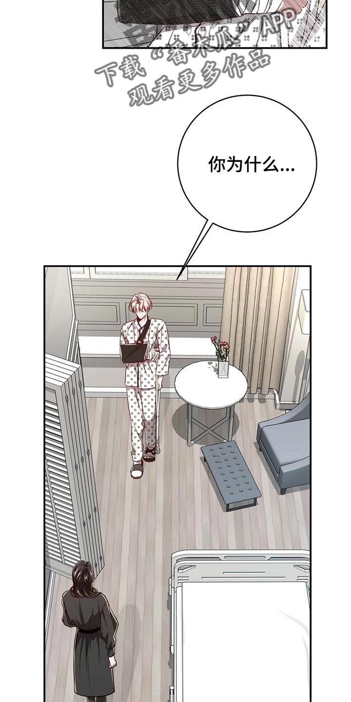 纽约迷云2高压中文漫画,第107章：【第二季】平静4图