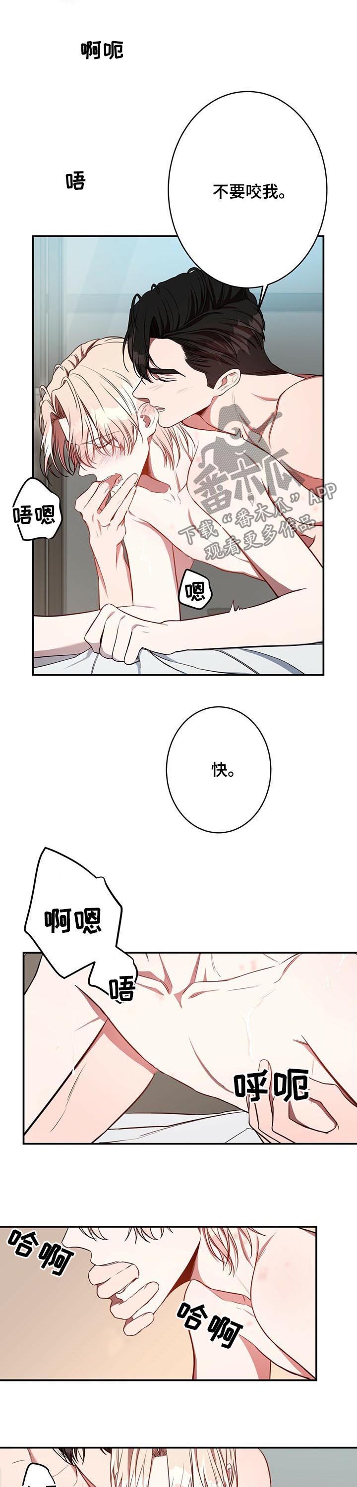 纽约迷云2高压中文漫画,第30章：最后几天3图