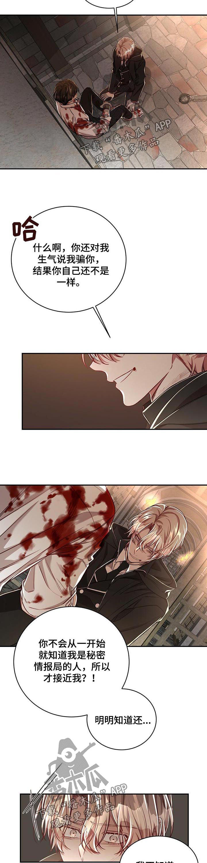 纽约秘事动漫漫画,第66章：【第二季】代号影子3图