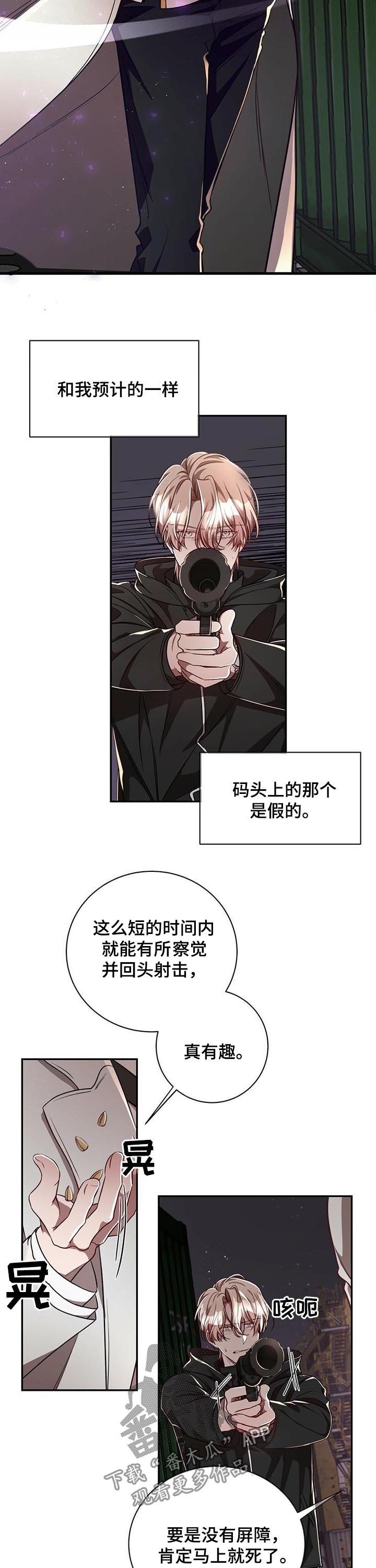 纽约面积多少平方公里漫画,第62章：【第二季】反埋伏2图