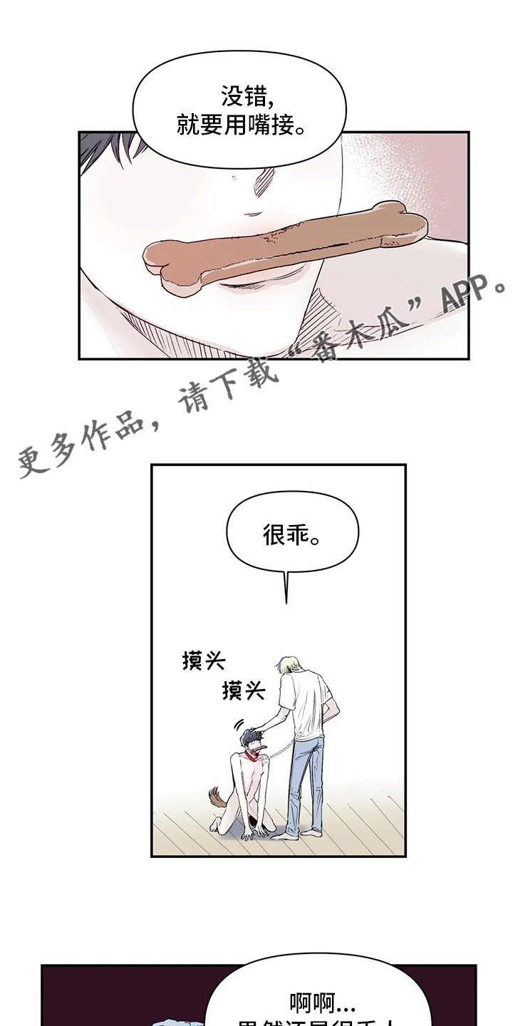 独特兴趣漫画,第22章：傻瓜1图