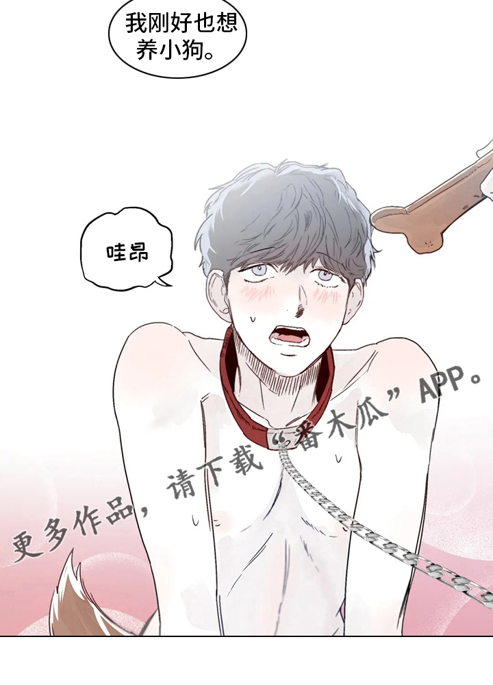 独特漂亮衬衫漫画,第21章：小狗1图