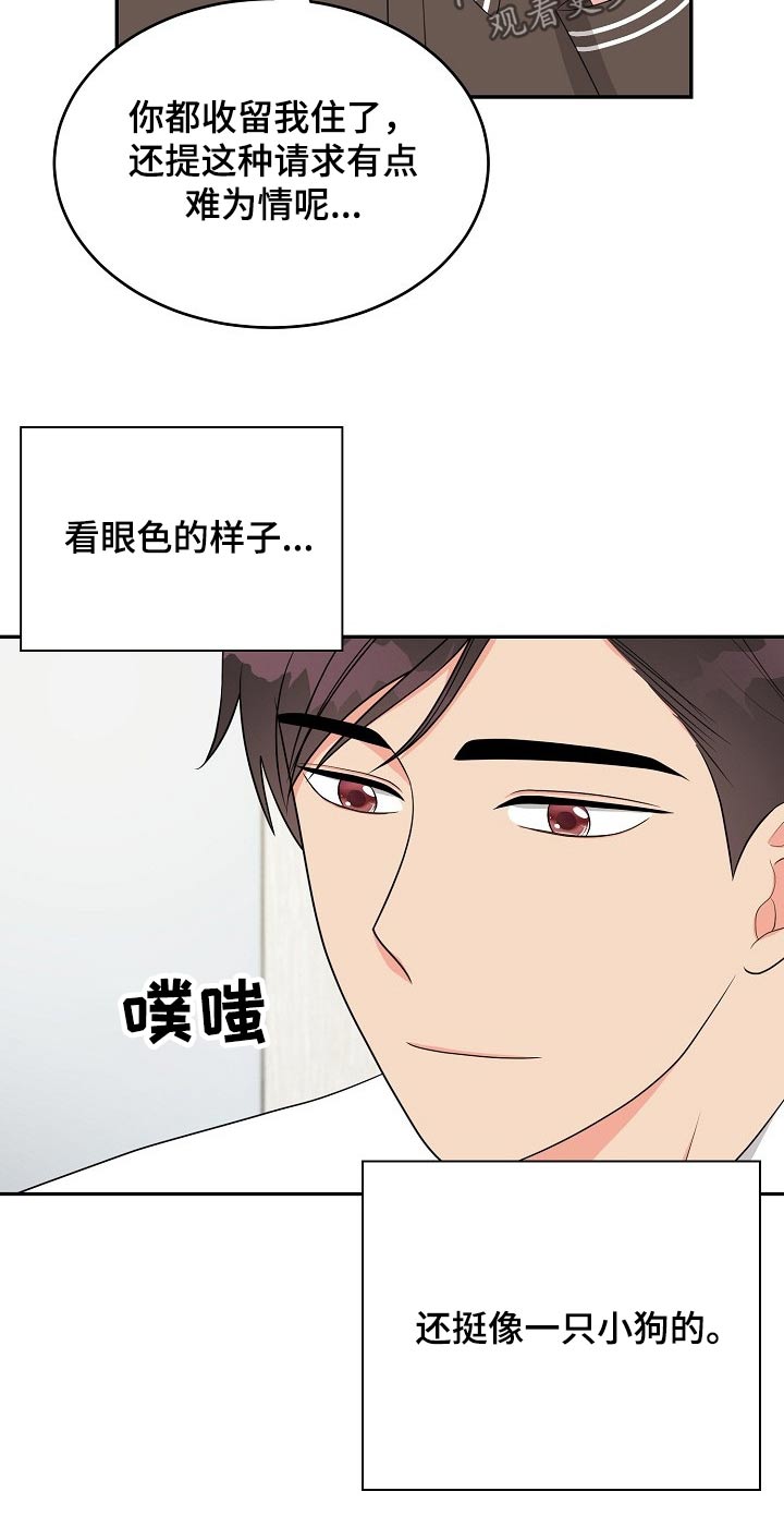 创作灵感漫画,第21章：眼色1图