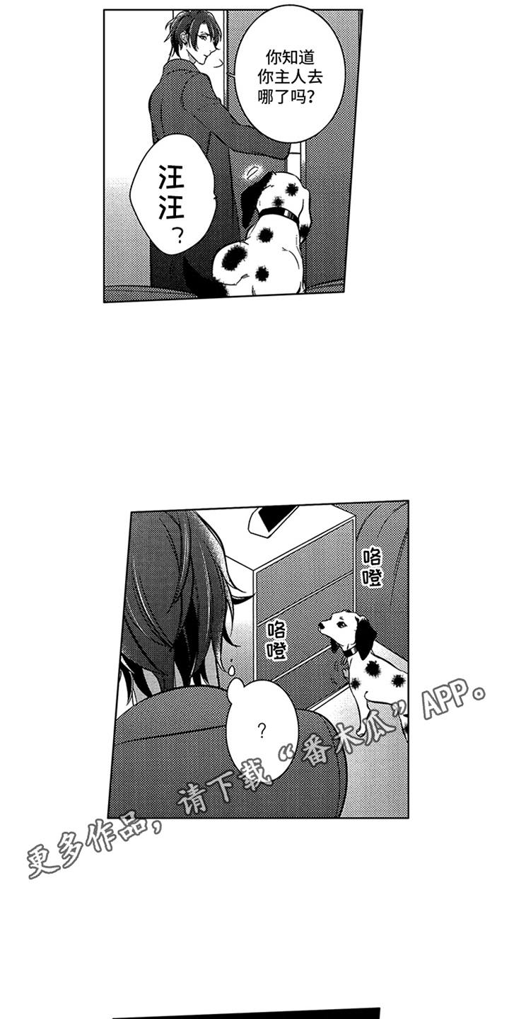 顶级模特漫画,第17章：寻找1图