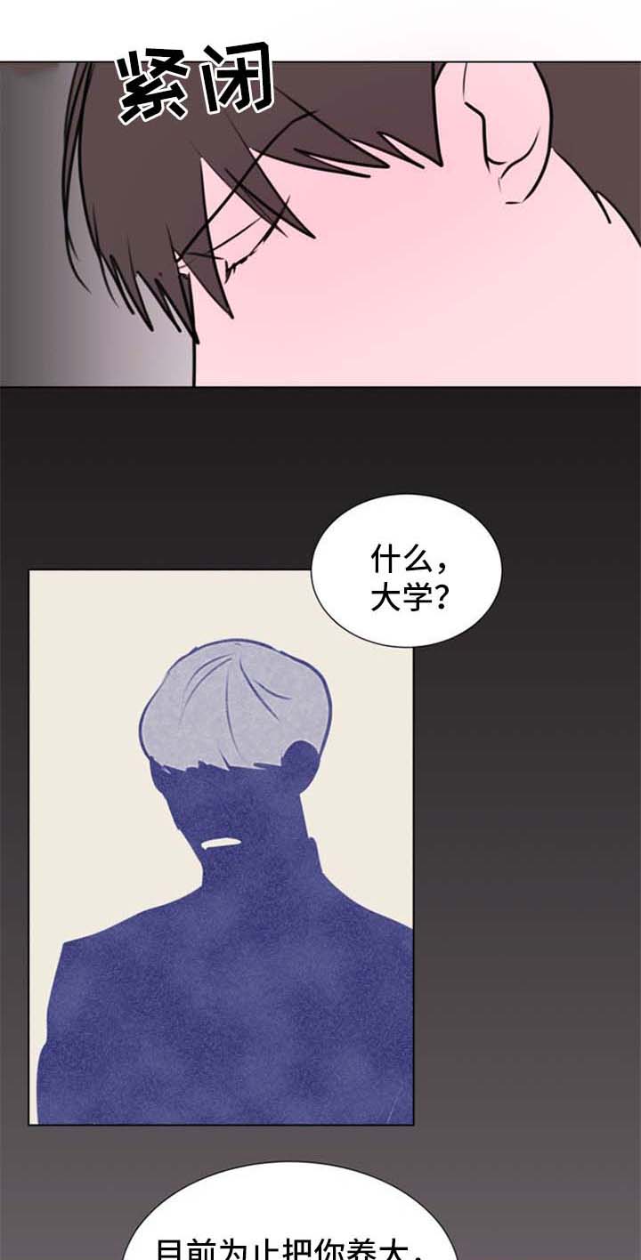 秘密画卷漫画,第63章：【第二季】琢磨琢磨1图