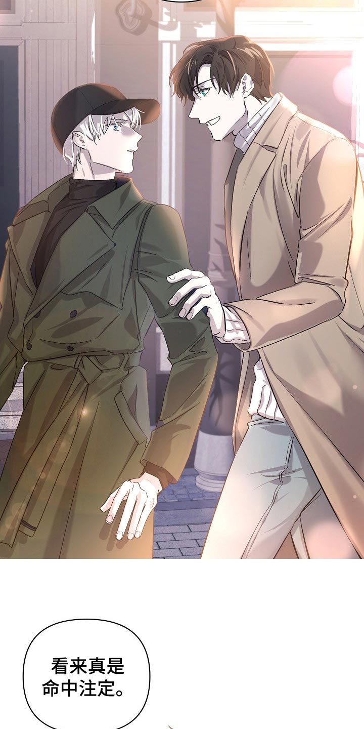 永夜守护和魔女斗篷的区别漫画,第23章：混乱4图