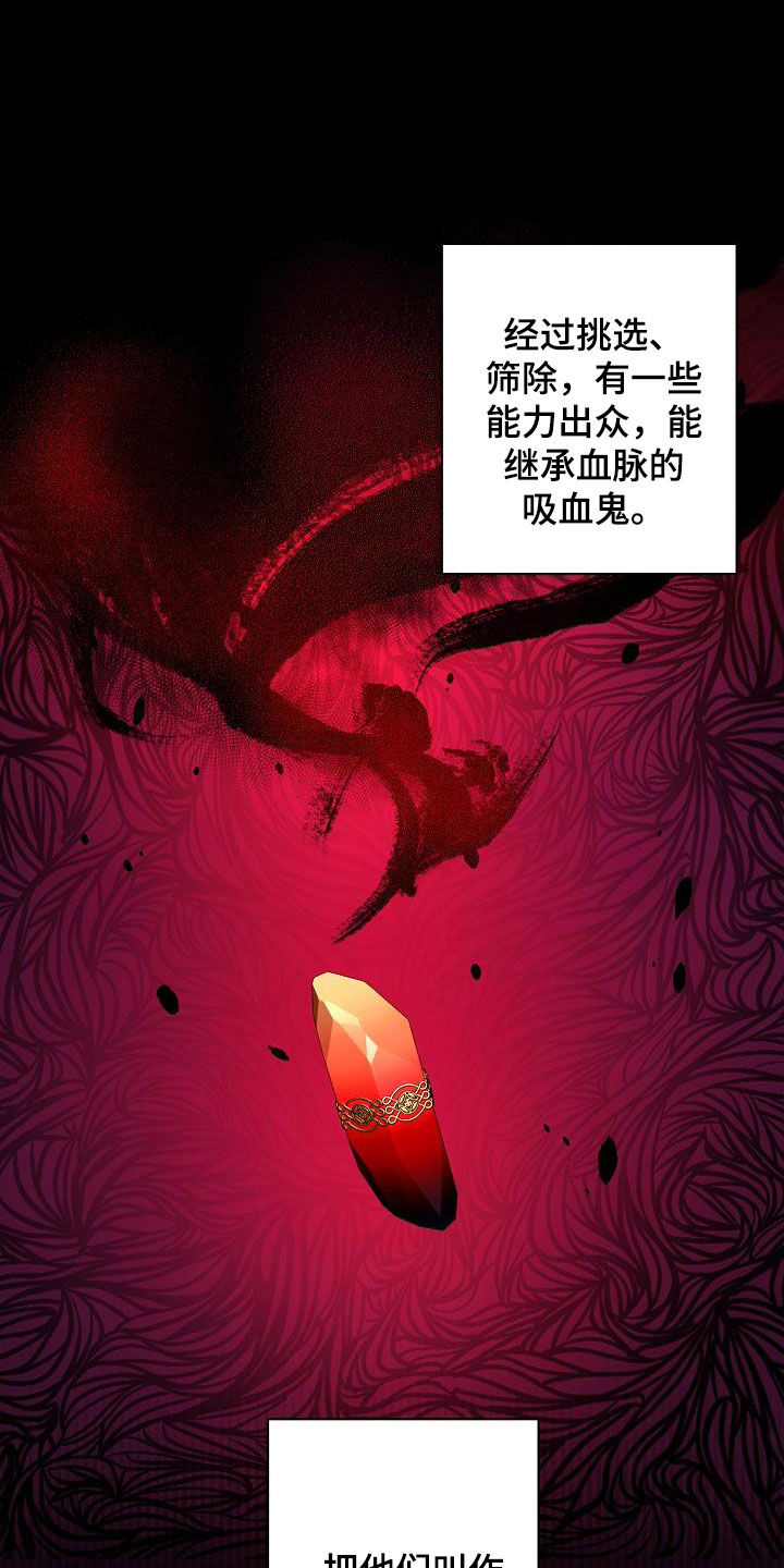 永夜星河剧情简介漫画,第38章：出现问题了4图
