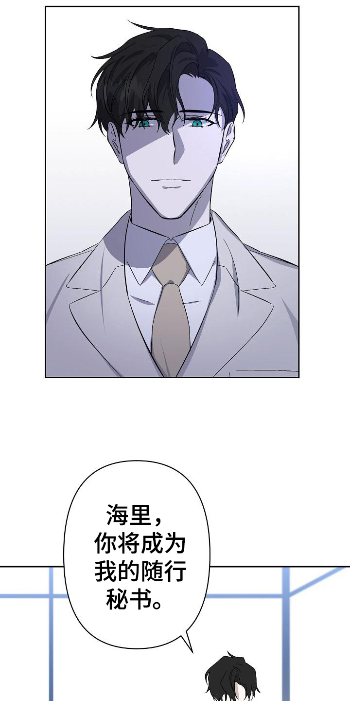 永夜守护和魔女斗篷的区别漫画,第5章：公务2图