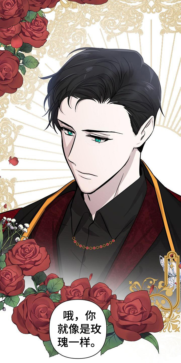 永夜不寐是什么意思漫画,第20章：玫瑰5图