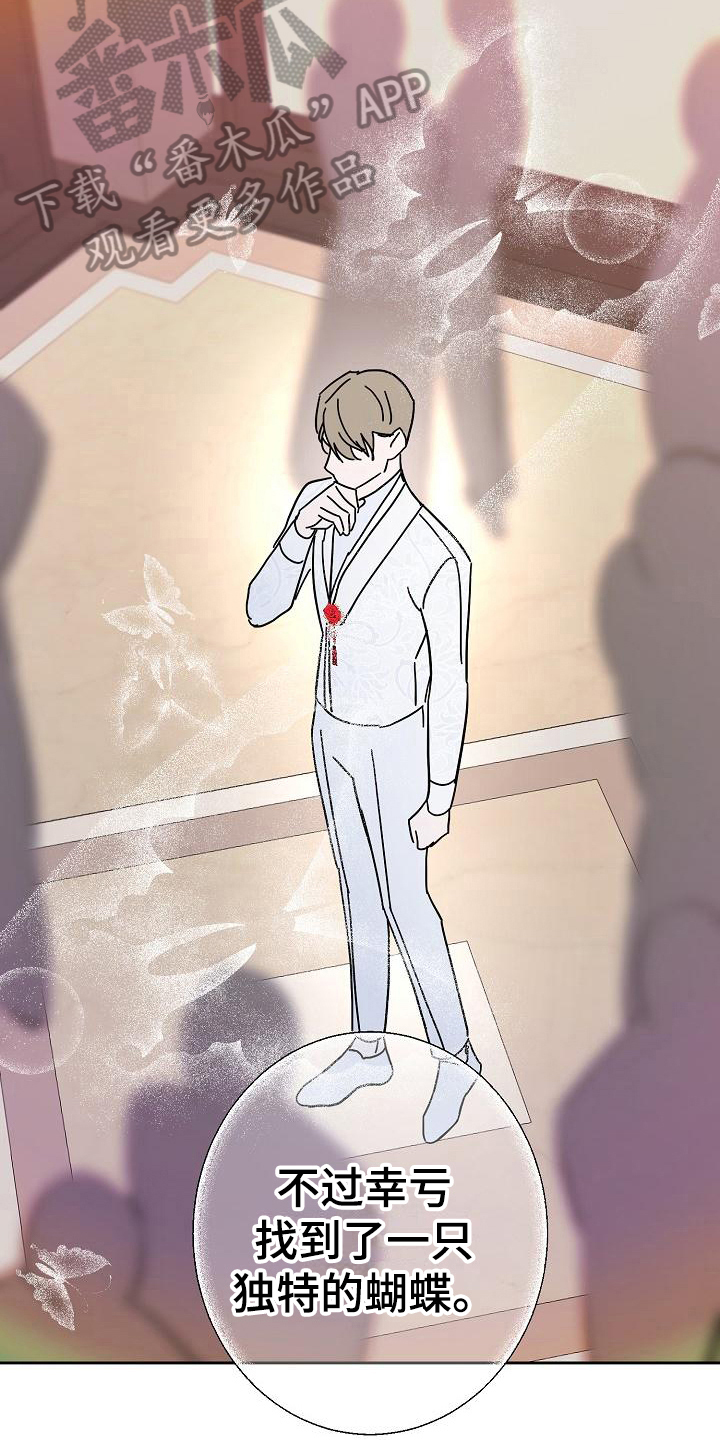 永夜不寐是什么意思漫画,第20章：玫瑰4图