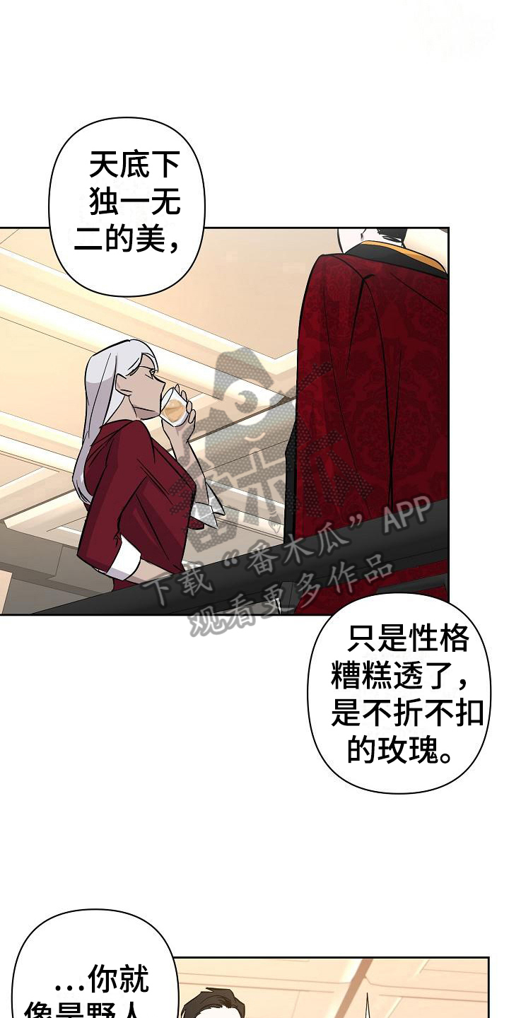 永夜不寐是什么意思漫画,第20章：玫瑰1图