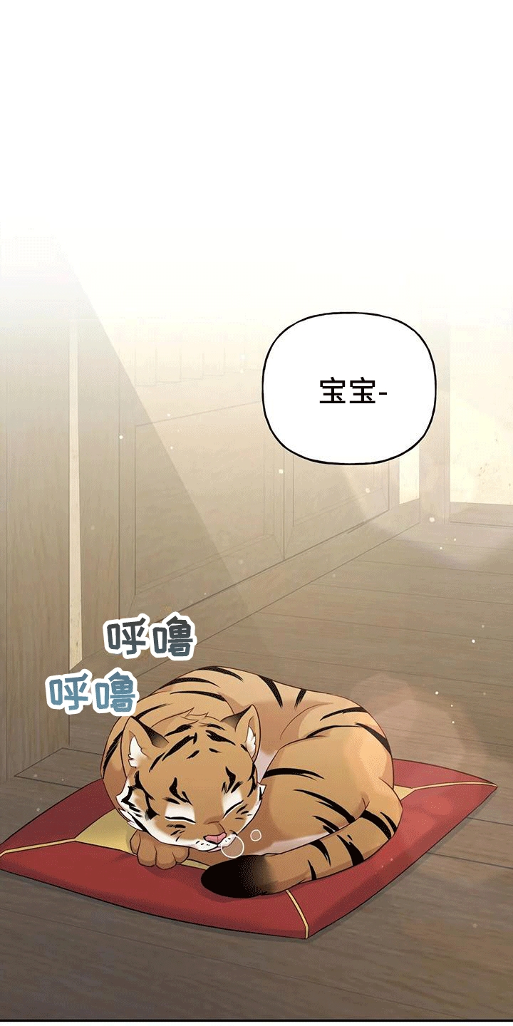 养虎为患漫画,第4章：老虎1图