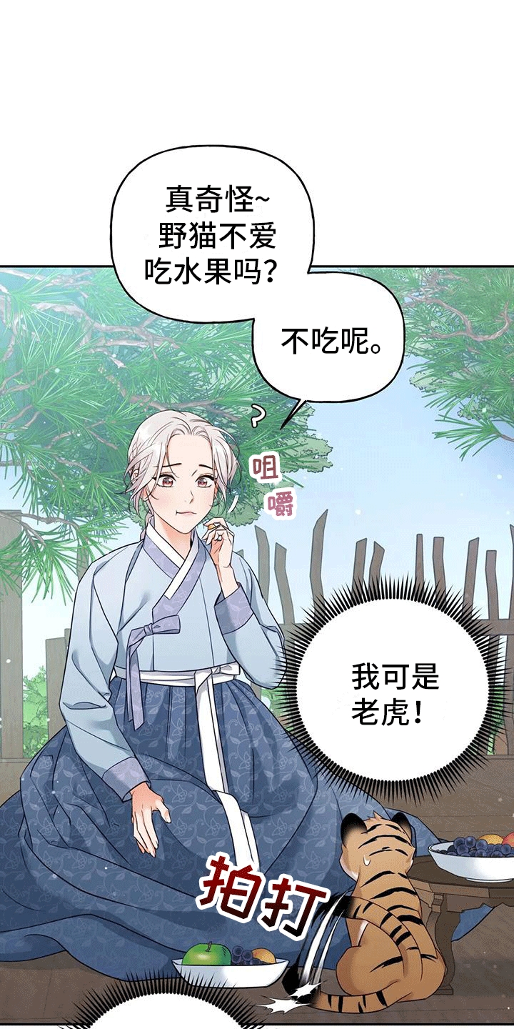 养虎为患漫画,第4章：老虎5图