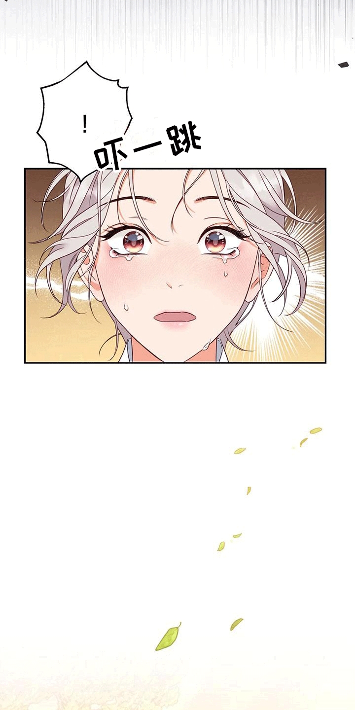 养虎为患休整后的乌克兰漫画,第6章：找回1图