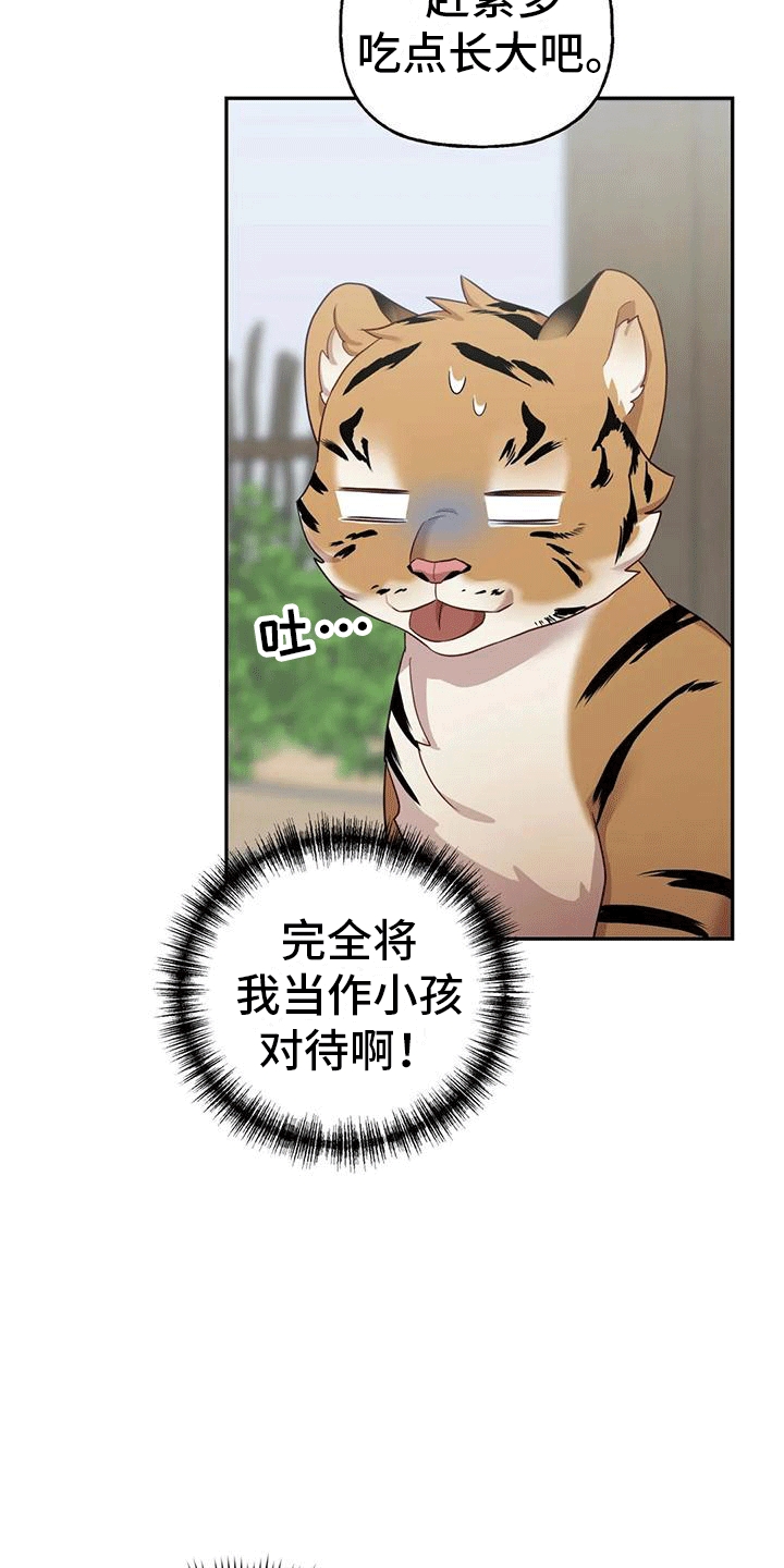 养虎为患漫画,第4章：老虎1图