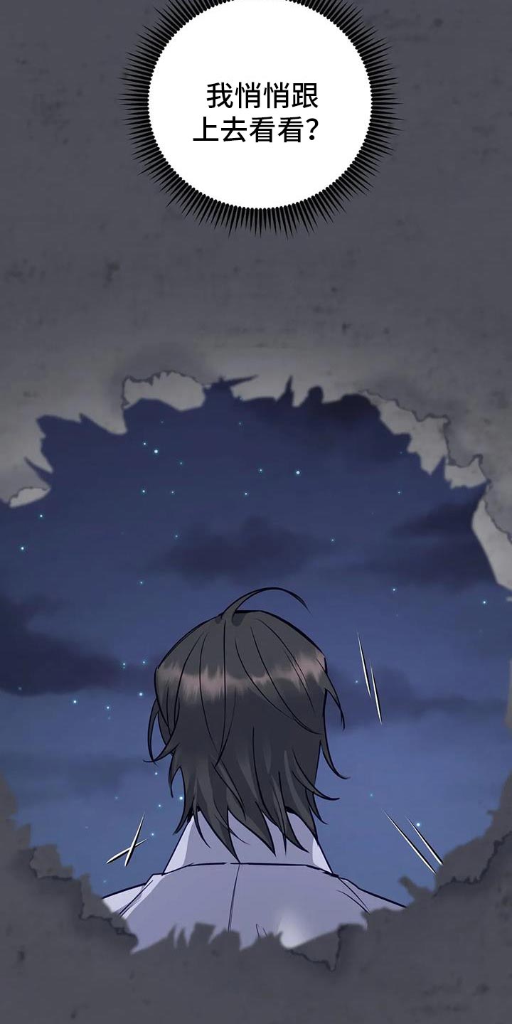 养虎为患是谁漫画,第19章：悄悄跟上去1图