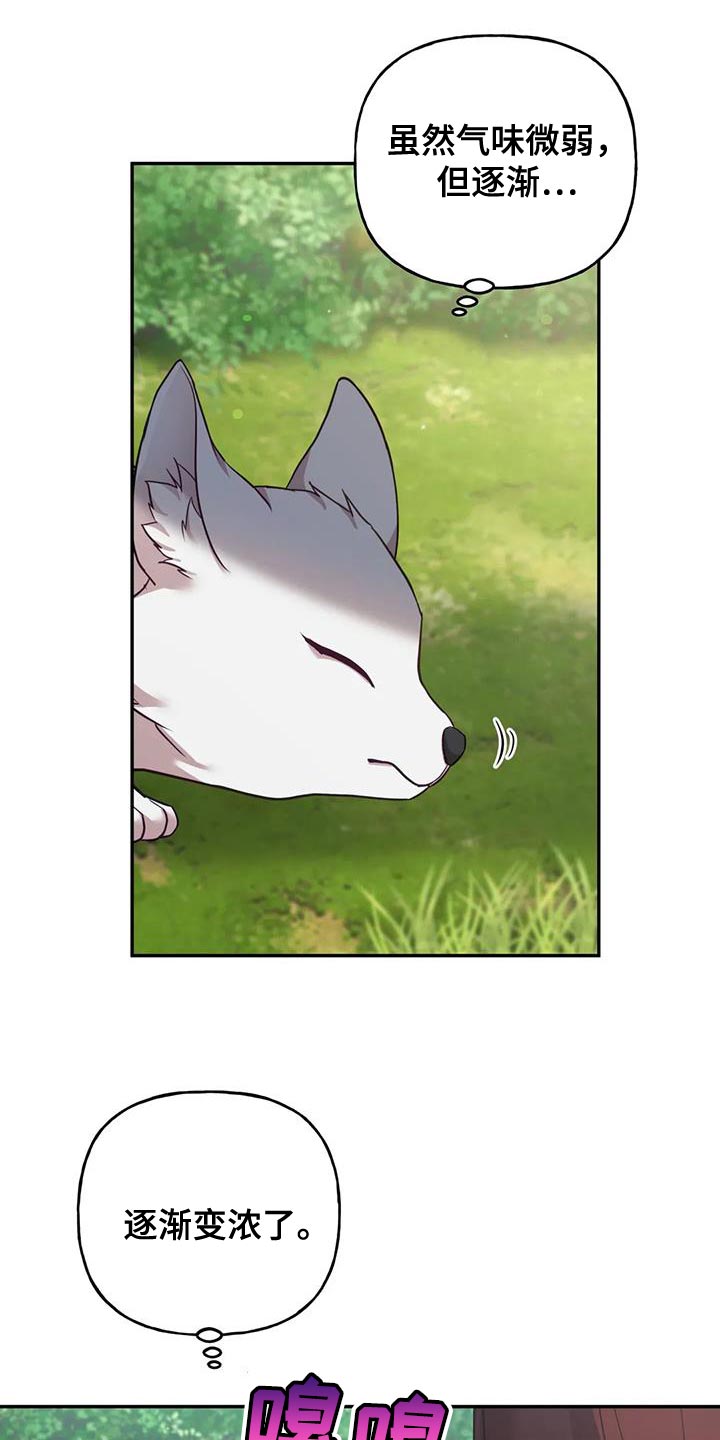 养虎为患完整版中文漫画,第26章：大本营5图