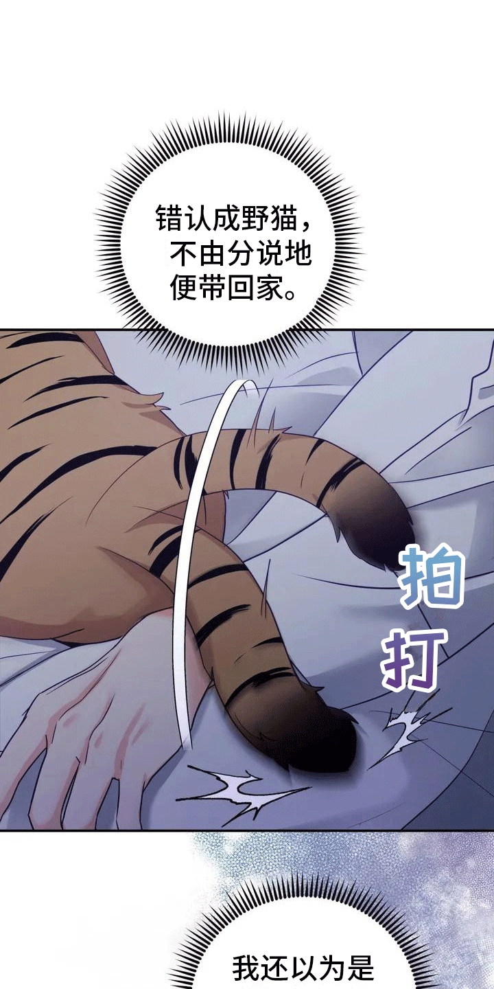 养虎为患漫画,第4章：老虎1图