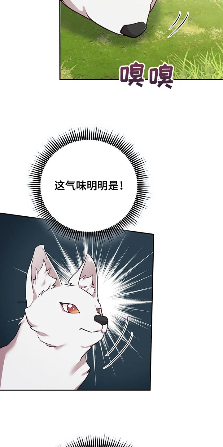 养虎为患完整版中文漫画,第26章：大本营2图