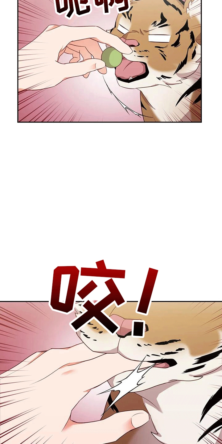 养虎为患漫画,第4章：老虎3图