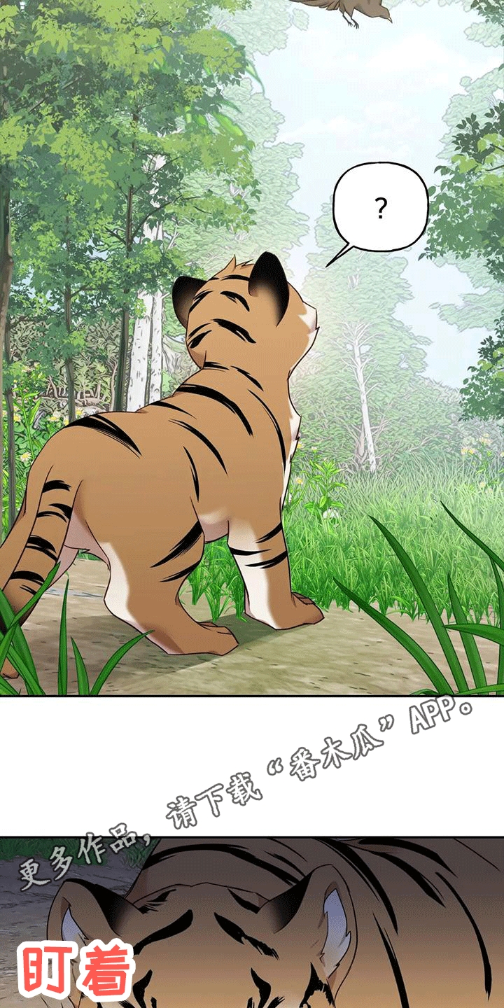 养虎为患完整版中文漫画,第5章：出门2图