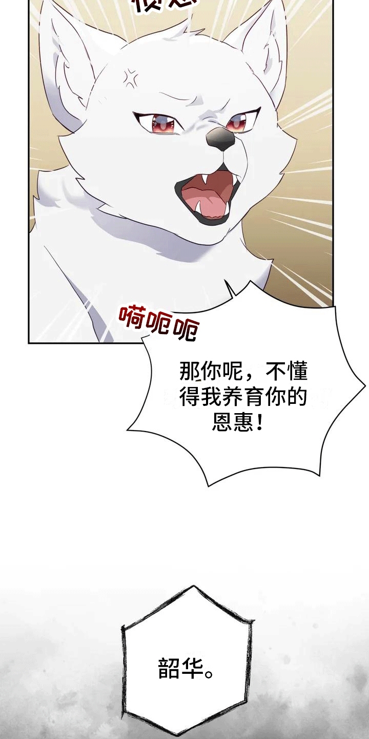 养虎为患后患无穷是什么意思漫画,第1章：威胁4图